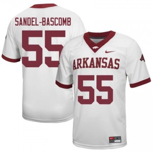 #55 Antonio Sandel-Bascomb Arkansas Razorbacks White Jersey | Iconic Embroidery Men College Football Gear 94327467