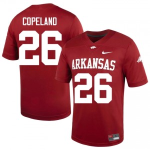 Razorbacks Jalon Copeland #26 Cardinal Jersey | Durable Stitched University Football Men Apparel 52903476