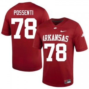 Cardinal Lucas Possenti #78 Razorbacks Jersey | Men University Football Top-Tier Stitched 32870377