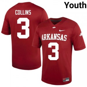Cardinal Alex Collins #3 Hogs Jersey | Youth High School Football Limited Swen 80979255