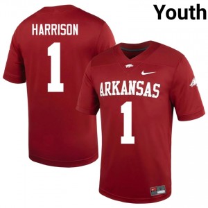Cardinal Christian Harrison #1 Razorbacks Jersey | Youth University Football Top-Tier Swen 23314429