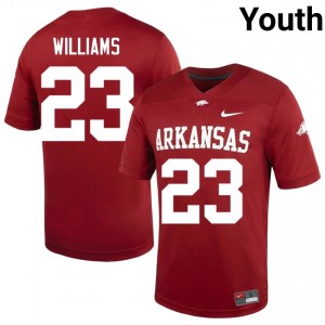 Razorbacks Ian Williams #23 Cardinal Jersey | Premium Swen NCAA Football Youth Apparel 58364991