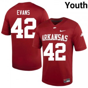 UARK Hogs Jeremy Evans #42 Cardinal Jersey | Exclusive Swen College Football Youth Apparel 93406699