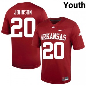 Cardinal Joker Johnson #20 Razorbacks Jersey | Youth NCAA Football Essential Swen 36446693