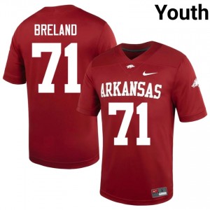 Razorbacks Malachi Breland #71 Cardinal Jersey | Exclusive Swen College Football Youth Apparel 29618245